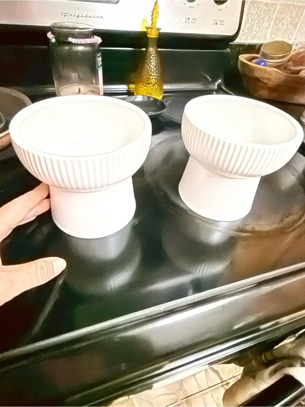 White Ceramic Fishbone Pet Food and Water Bowl - Set of 2